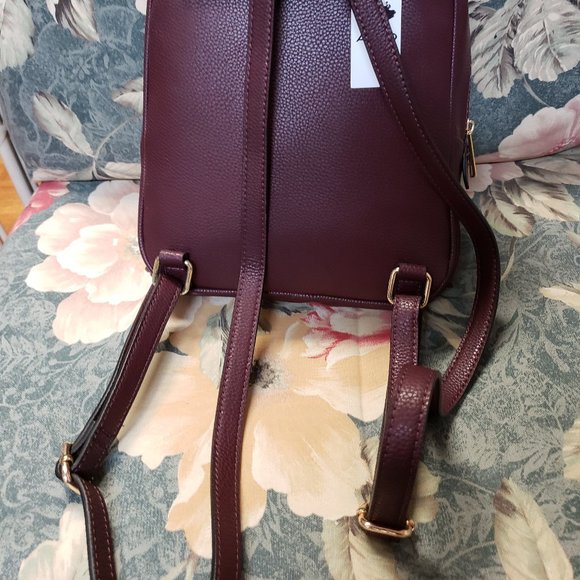Burgundy Mini Backpack from Aldo - Picture 2 of 4